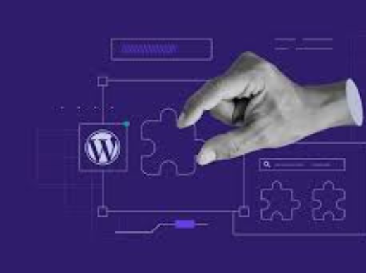 How to Choose the Right Plugin for Your Website