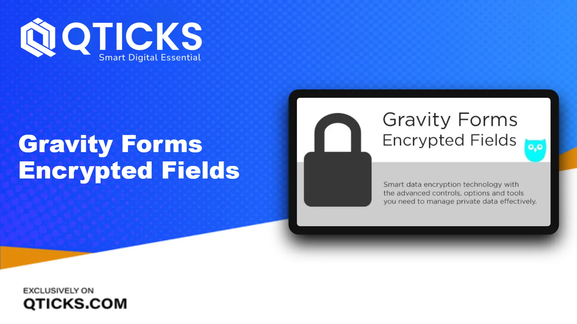 645-Gravity Forms Encrypted Fields Gravity Forms Encrypted Fields - Image 1